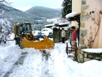 Alfa Romeo gets freed